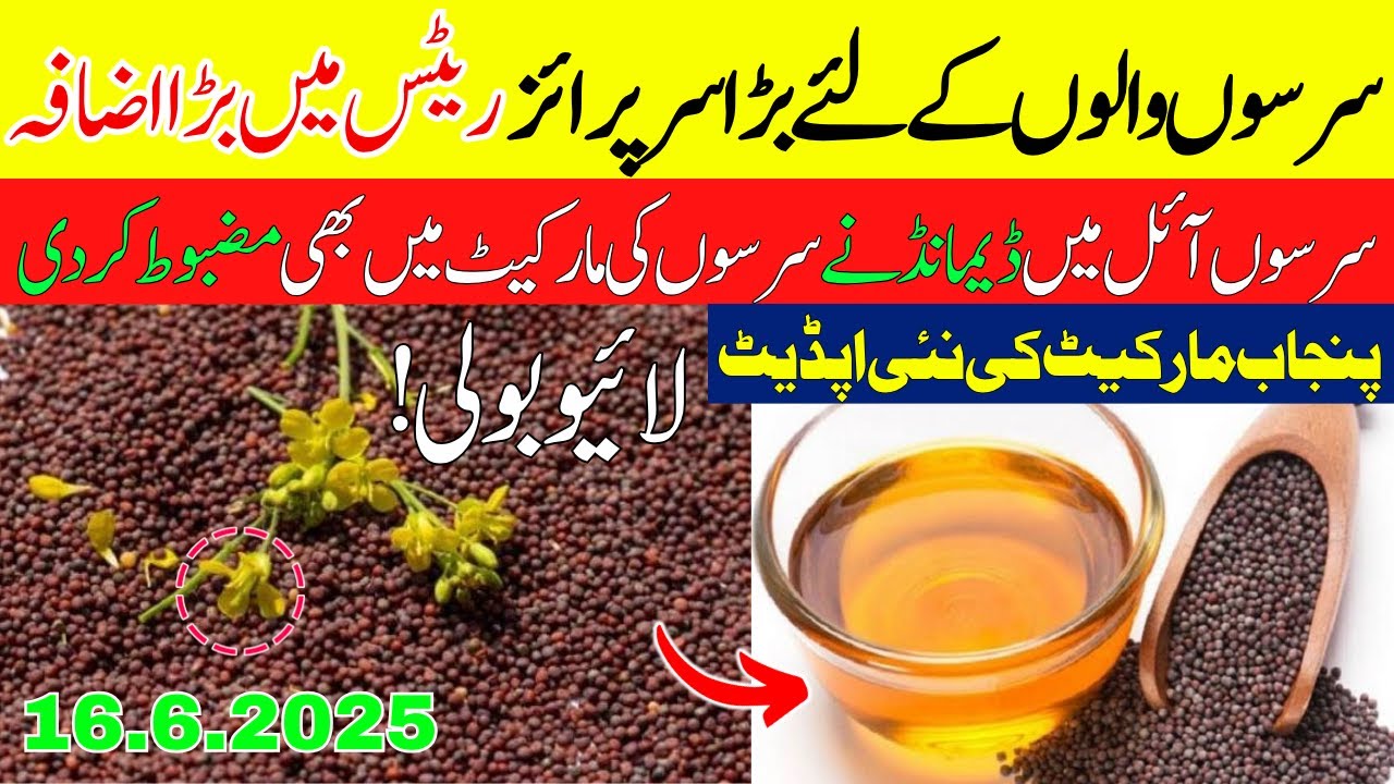 Sarson Markeet Rates Update | Punjab 2025| Big surprise for mustard farmers, big increase in rates