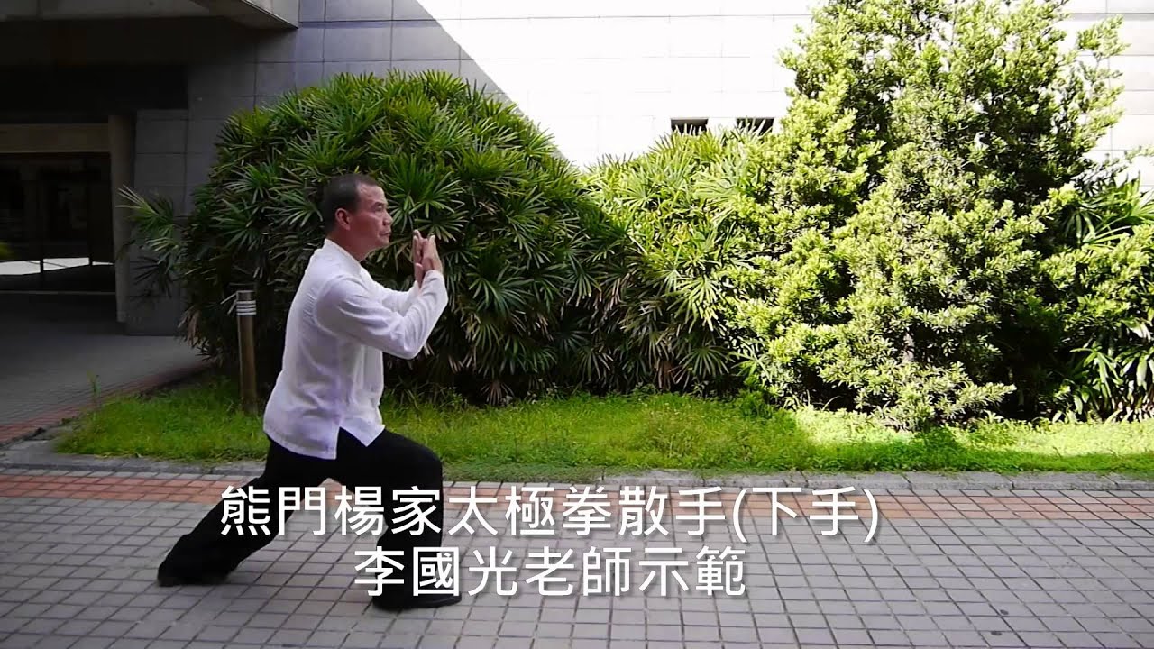 熊門楊家太極拳散手（下手）　李國光老師示範