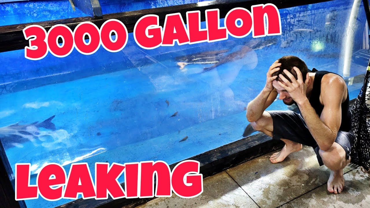 3000 Gallon Monster Aquarium Sprung a Leak!!!