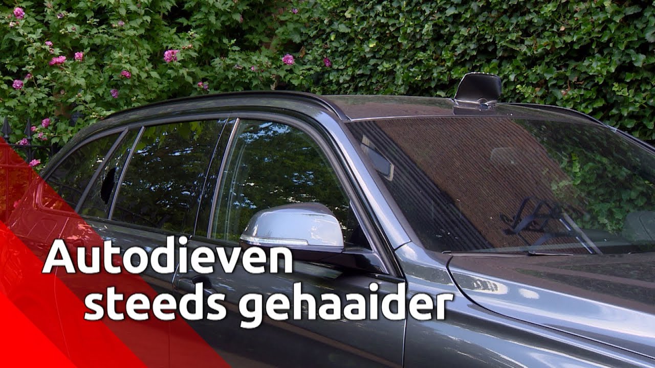 Autodieven worden steeds gehaaider: BMW geplunderd
