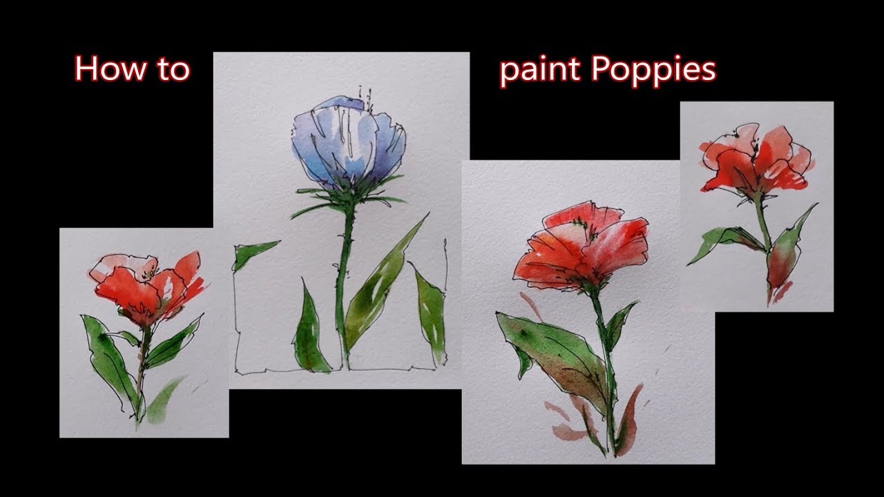 How to paint flowers, Poppies in line and wash watercolor. Peter Sheeler