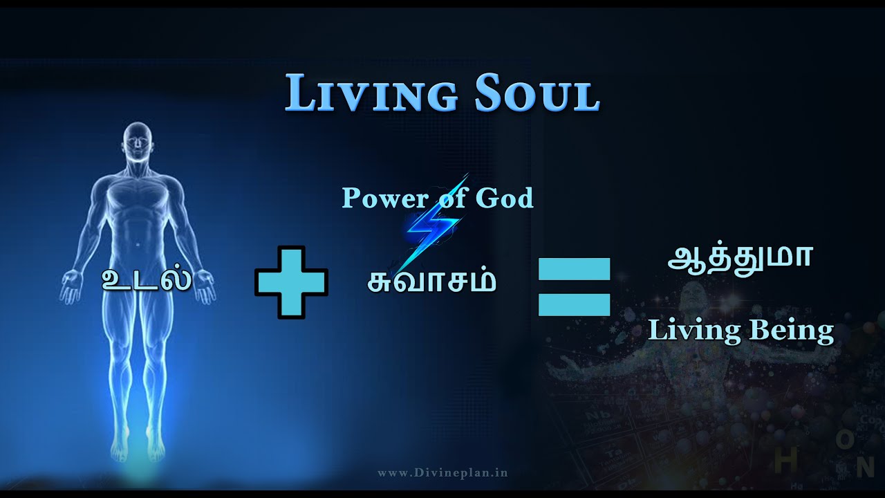 ஆவி ஆத்துமா சரீரம் | Soul and body | Tamil bible Truth