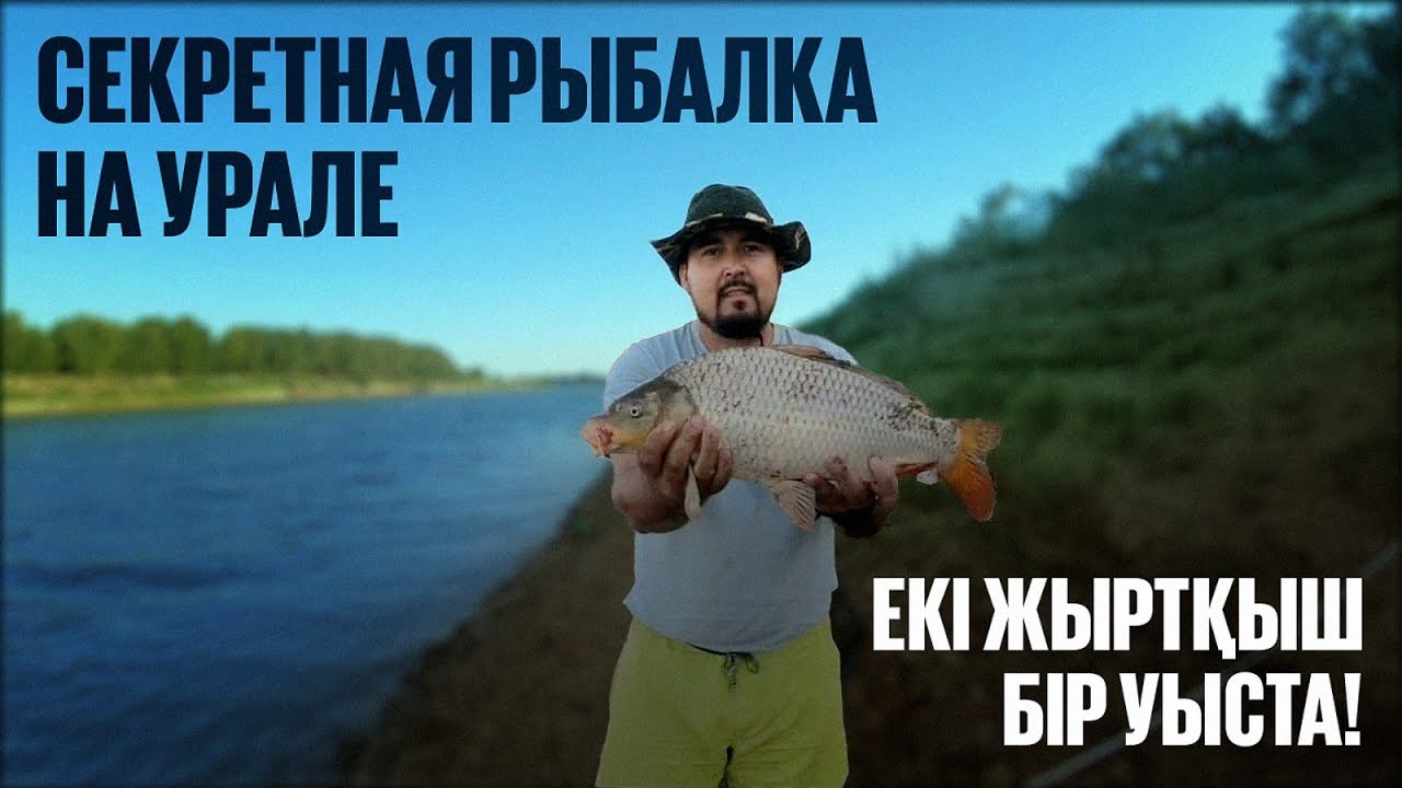 ЕКІ ЖЫРТҚЫШ БІР УЫСТА! САЗАН мен СУДАҚТЫ БІР КҮНДЕ АУЛАДЫМ!
