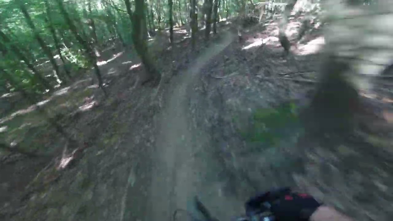 Koblenz 2023 - Big Bamboo Trail - Full Run Raw