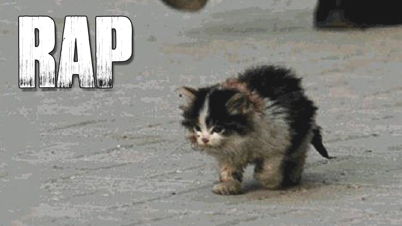 &iquest;Por qu&eacute; me dejaron solo? | RAP TRISTE | Gato Abandonado - Secplay