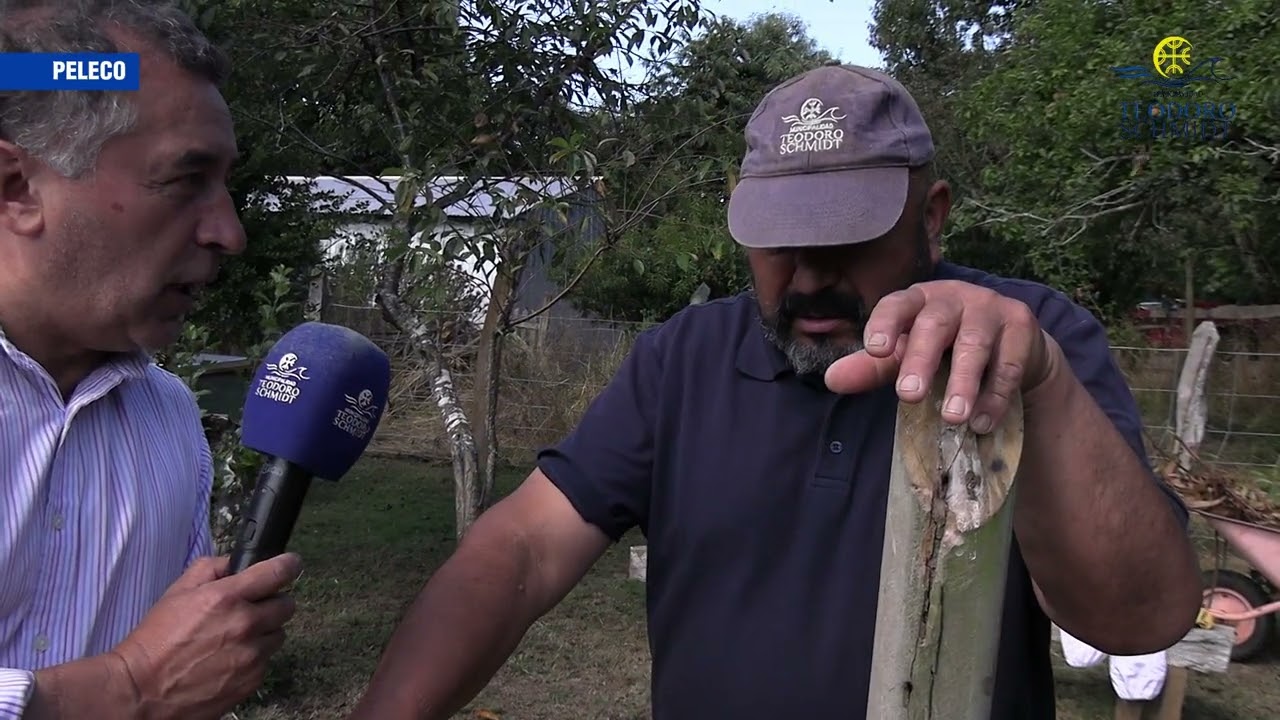 FONDO EMPRENDE IMPULSA EL TALENTO LOCAL Y TRANSFORMA SUEÑOS EN REALIDAD ✨🚀