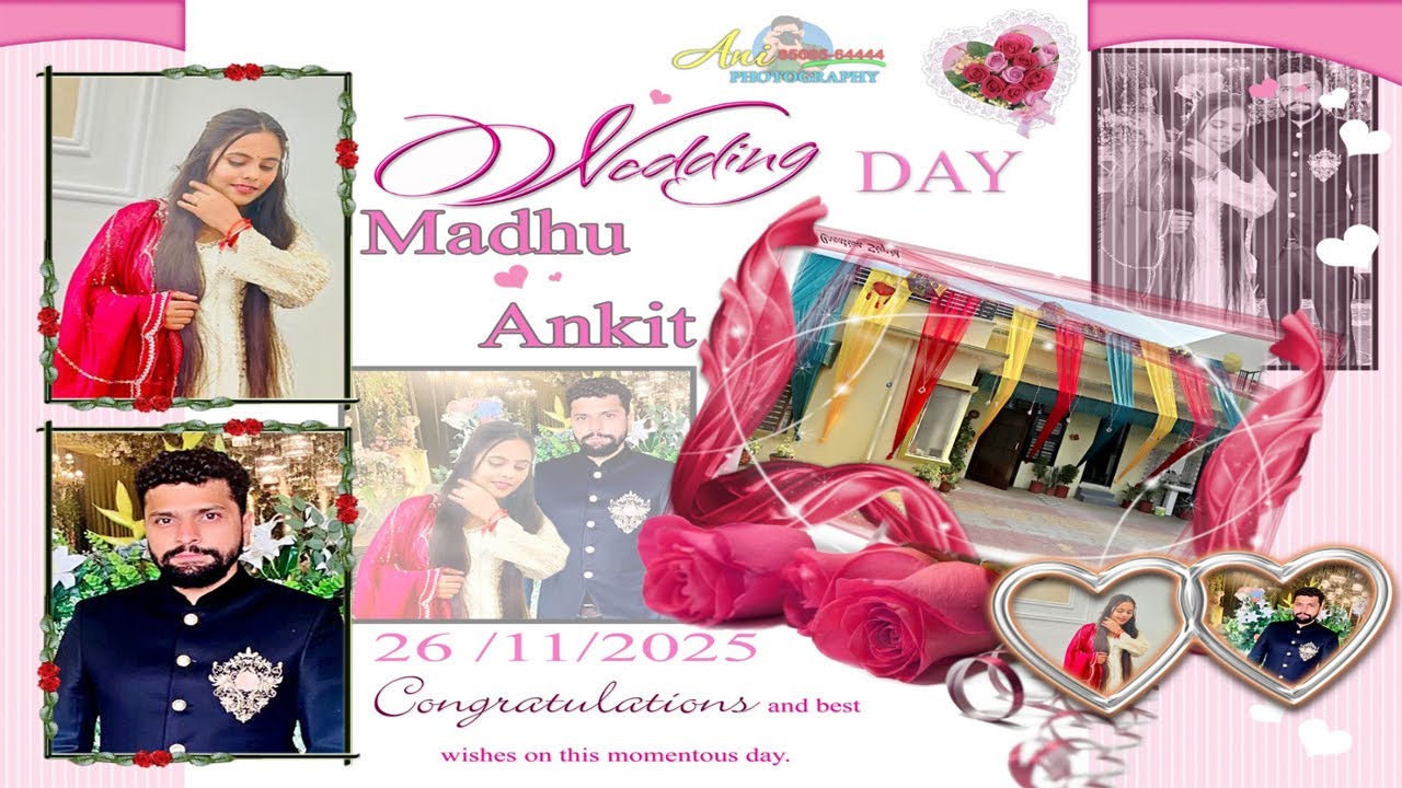 Live / Wedding Madhu Weds Ankit /  Live by Ani  photography bhuna Cont.8508564444