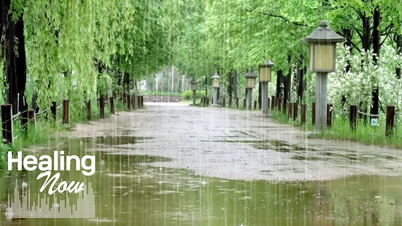 Расслабьтесь и отдохните под звуки проливного дождя