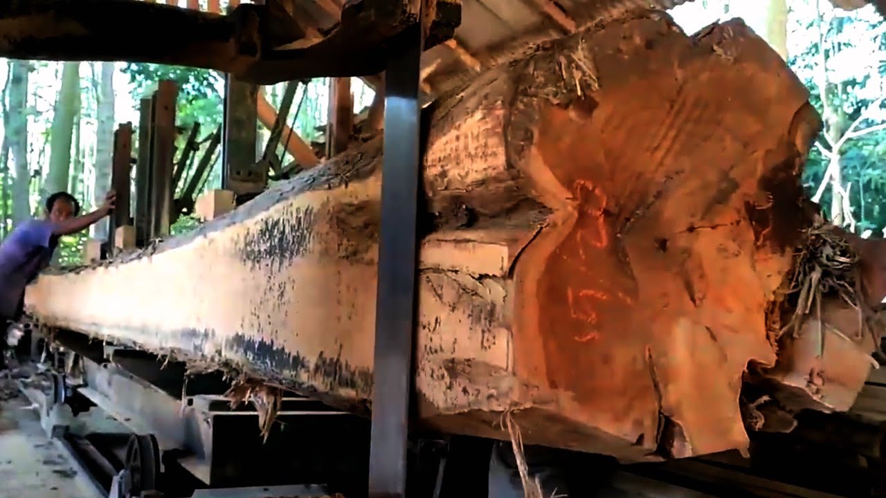 The process of cutting 20-foot long teak wood