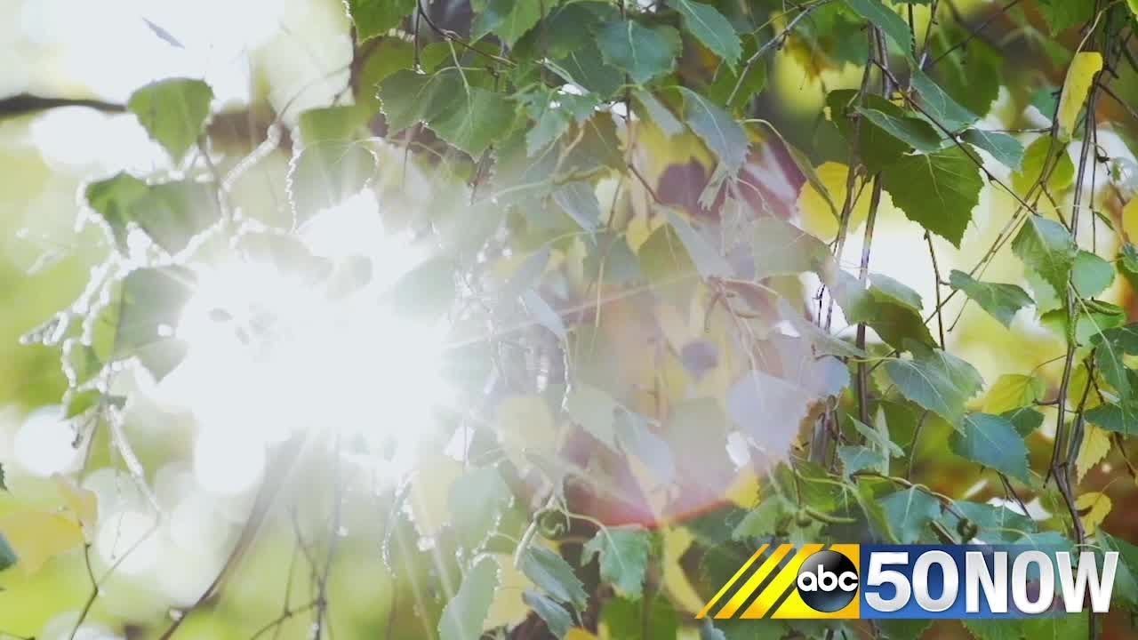 Combating 'Nature Deficit Disorder' with TILT
