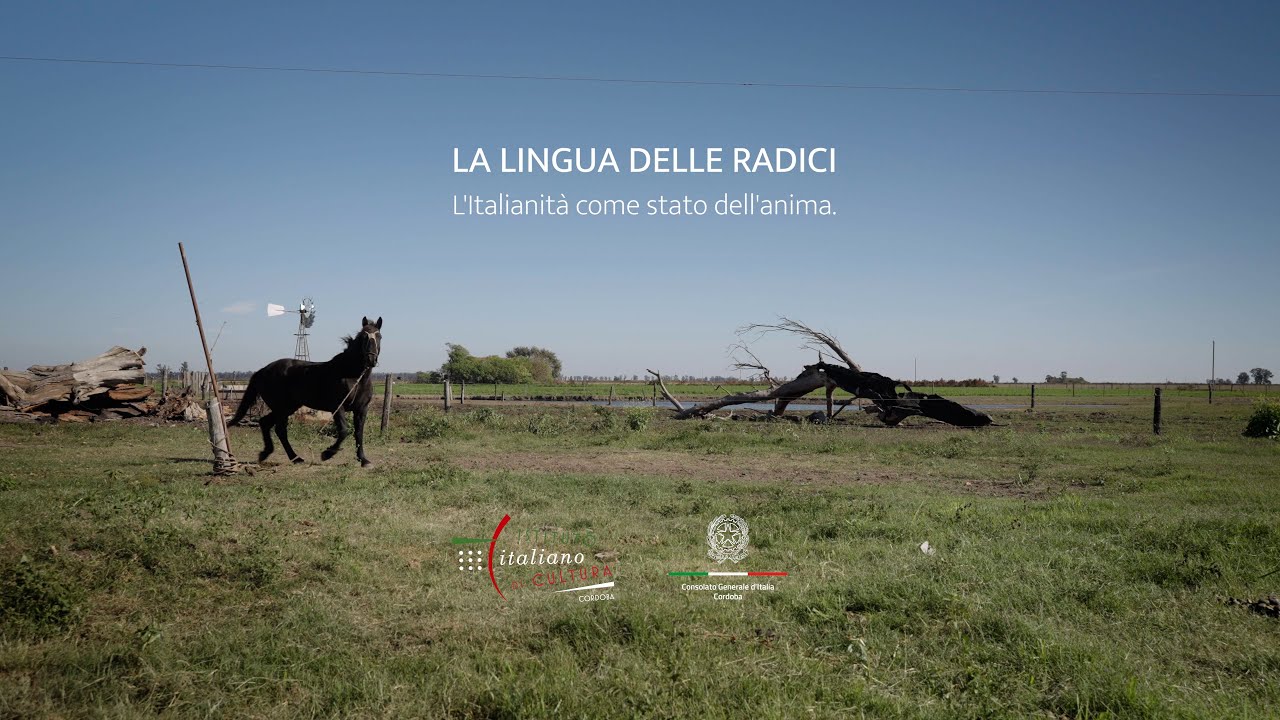 La lingua delle radici (subtitulado)