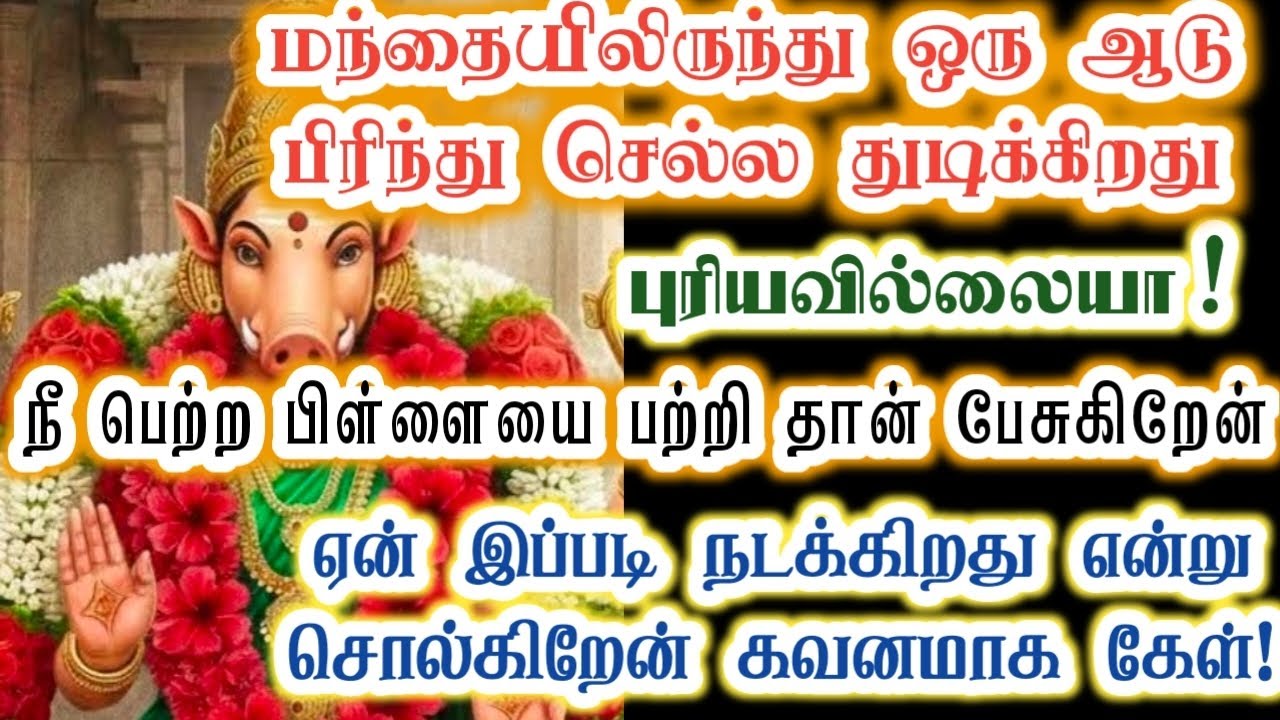 மந்தையிலிருந்து இந்த ஆடு பிரிந்து செல்ல துடிக்கிறது/Amman/varaahi Amman/positive vibe/@VarahiAmma12 