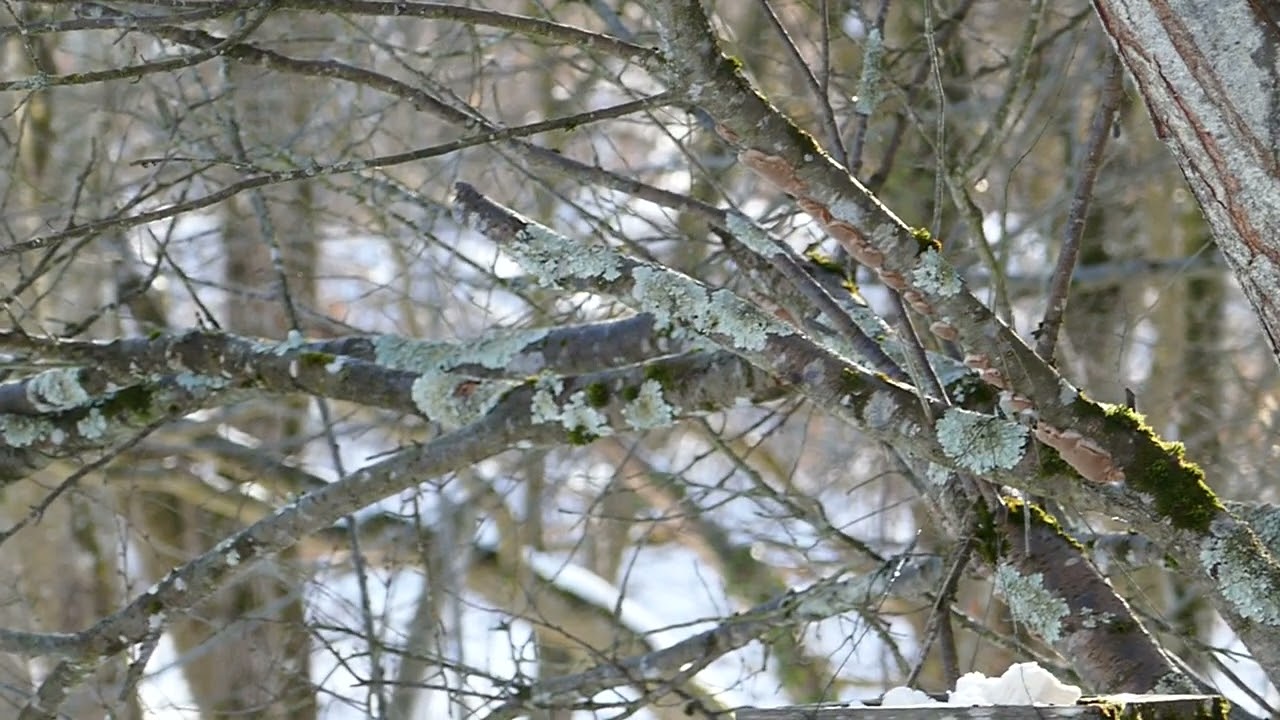 P1080290