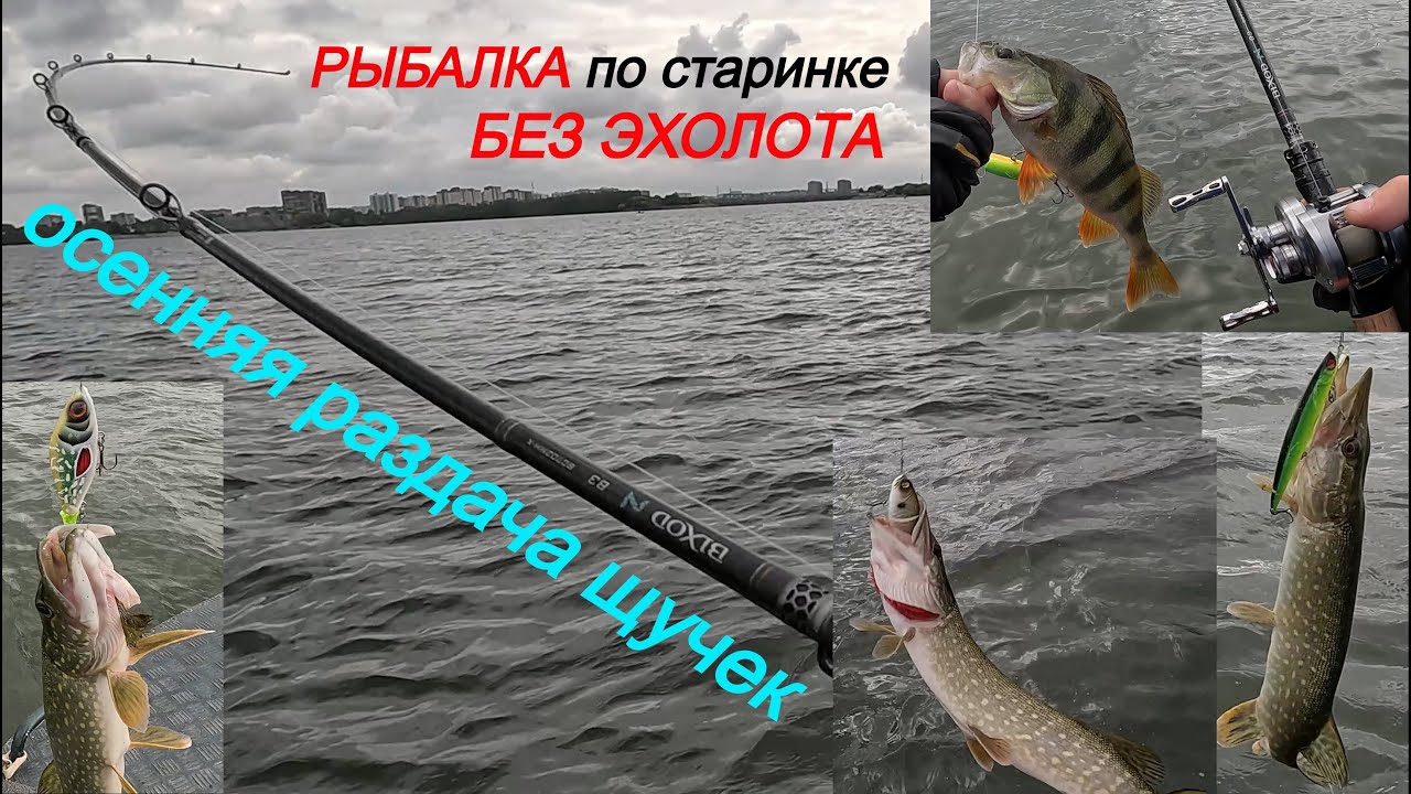 Осенняя раздача щучек  Рыбалка без эхолота, по старинке. JS company BIXOD N B3 BC702MH-X шикарен!!!