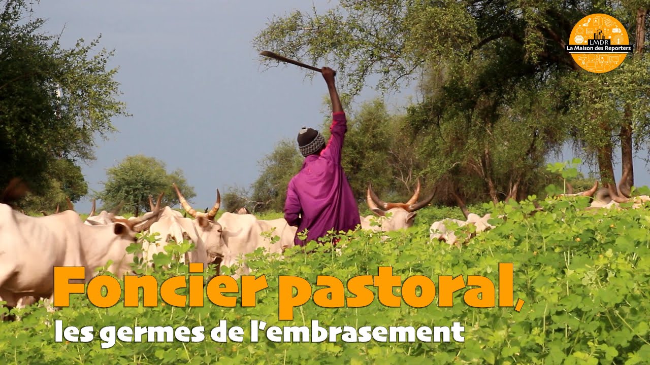 Foncier pastoral: les germes de l'embrasement
