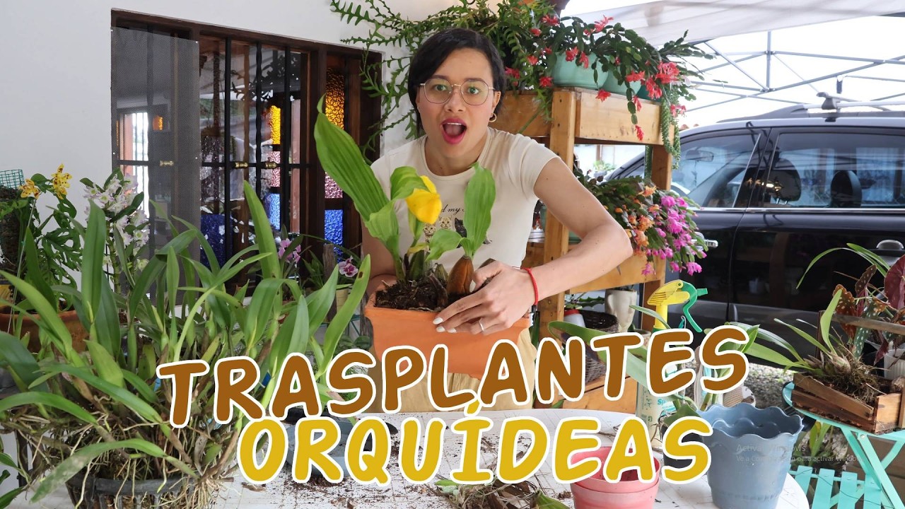 Llegó el turno de las orquídeas: Trasplantando, podando, cambiando la maceta │Candy Bu