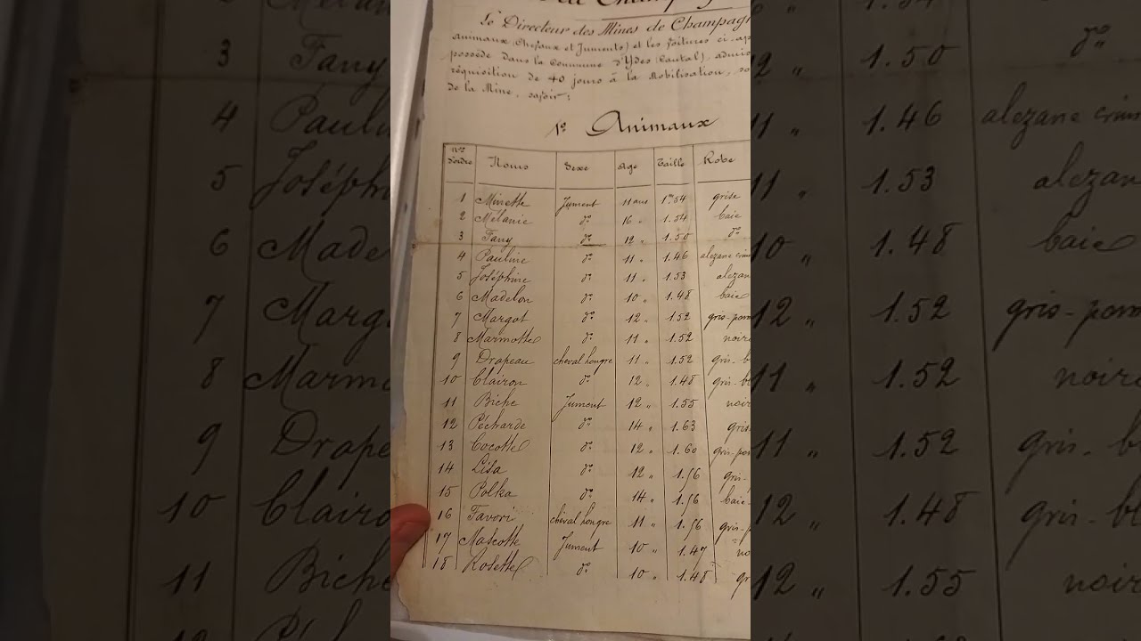 Le document d'archives du jour : les chevaux de Champagnac