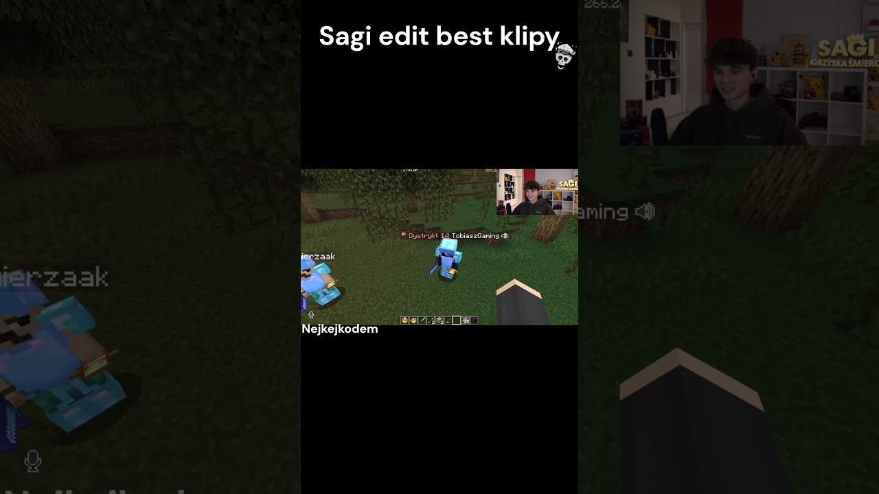 Sagi 