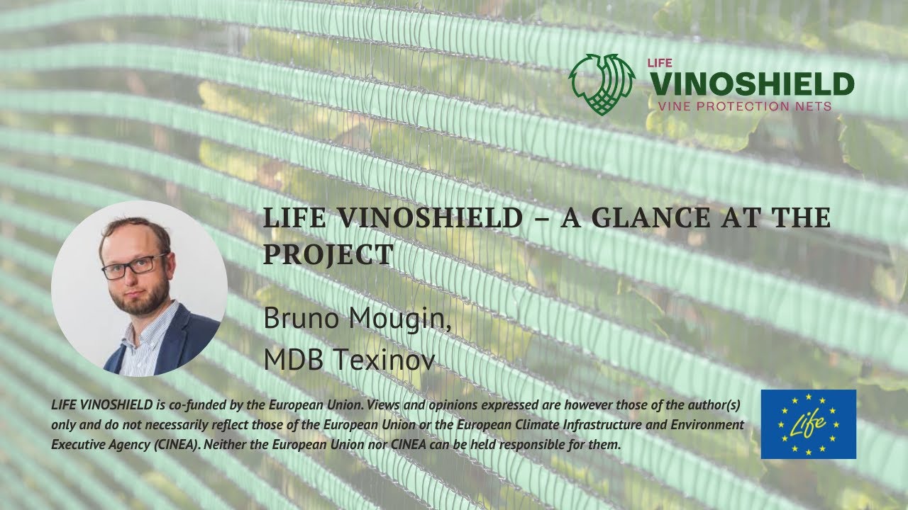 LIFE VINOSHIELD – краткий обзор проекта