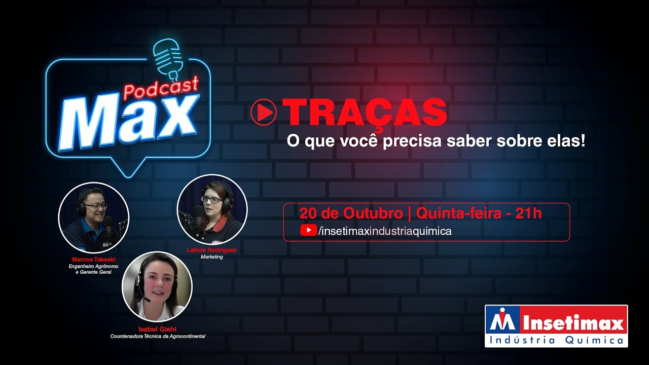 Tra&ccedil;as: O que voc&ecirc; precisa saber sobre elas!