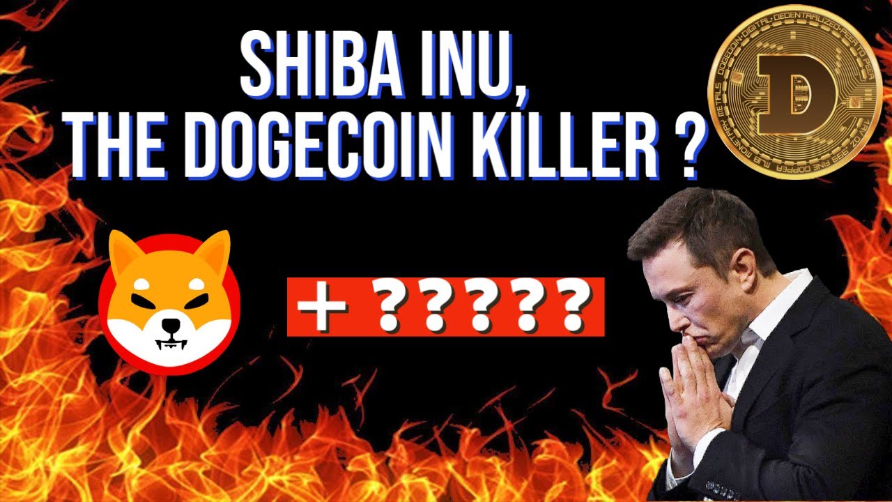 SHIBA INU, THE DOGECOIN KILLER ???