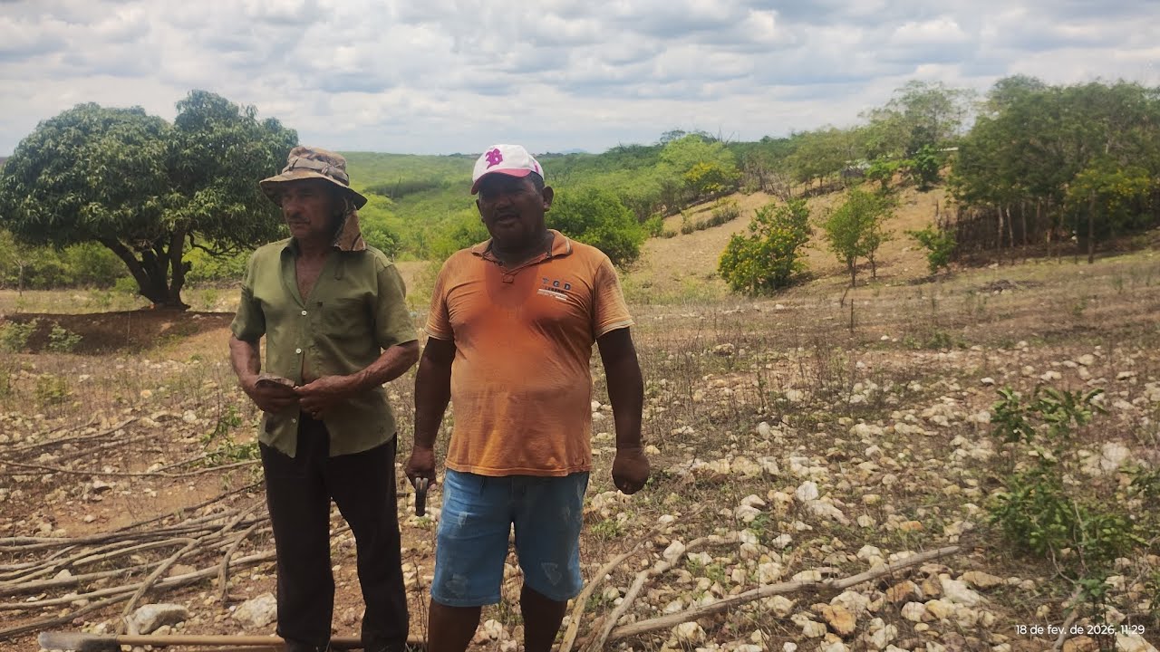 Tô aqui mais meu amigo liro mostrando esse trabalho 🌿