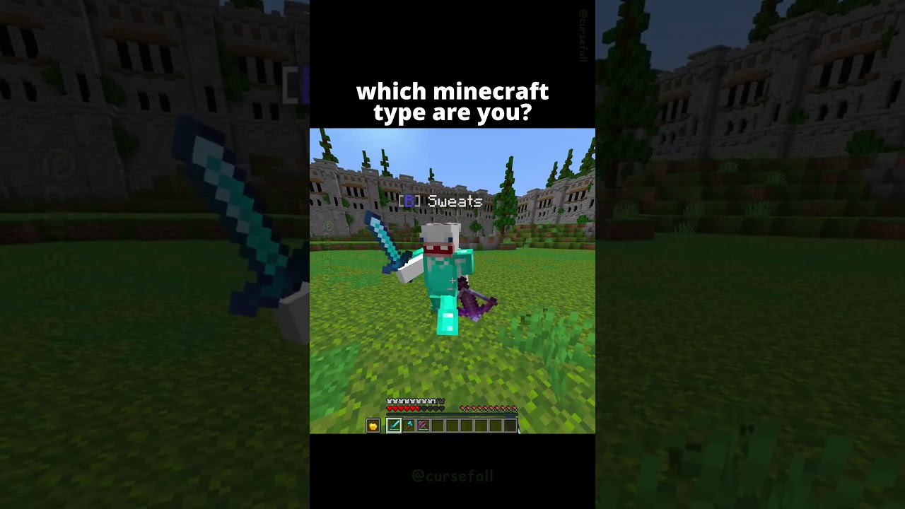 What Type Of Minecraft Player Are You? 🤫