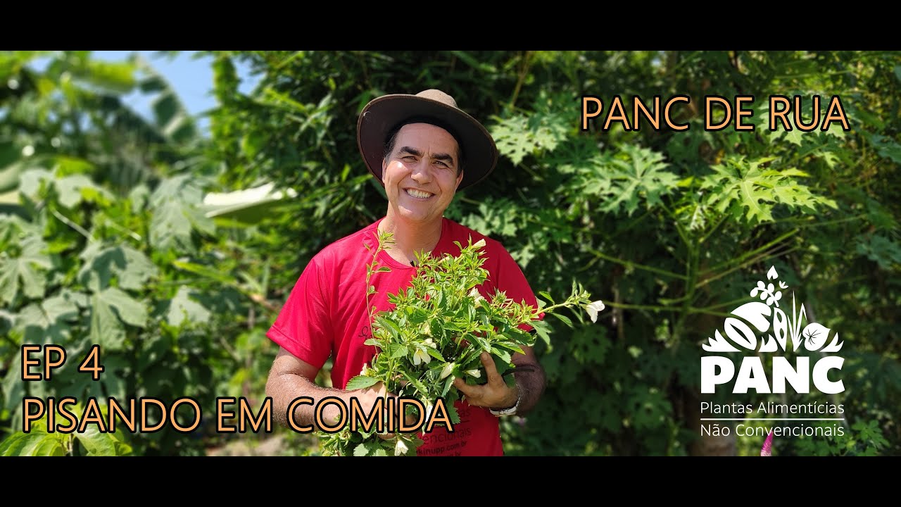 PANC DE RUA: Pisando em Comida - Episódio 4 | #pancnaveia #valdelykinupp