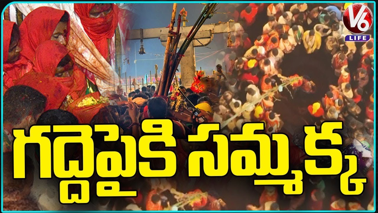 Goddess Sammakka Reached Medaram Gaddelu | Medaram Jatara 2026 | V6 Life