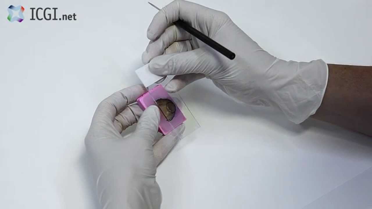 Preparing for image based DNA Ploidy