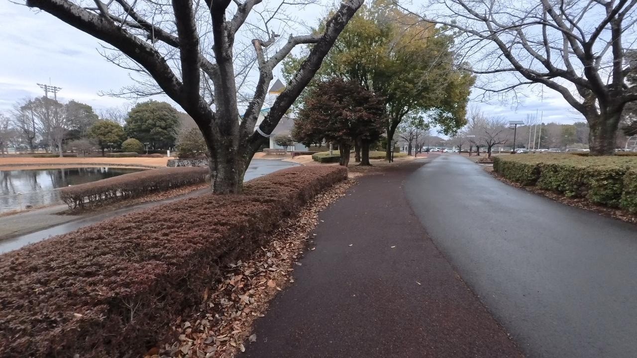 【いばらきヘルスロードを歩こう】コースNo. 293　県西総合公園内周コース（2026/02/11）
