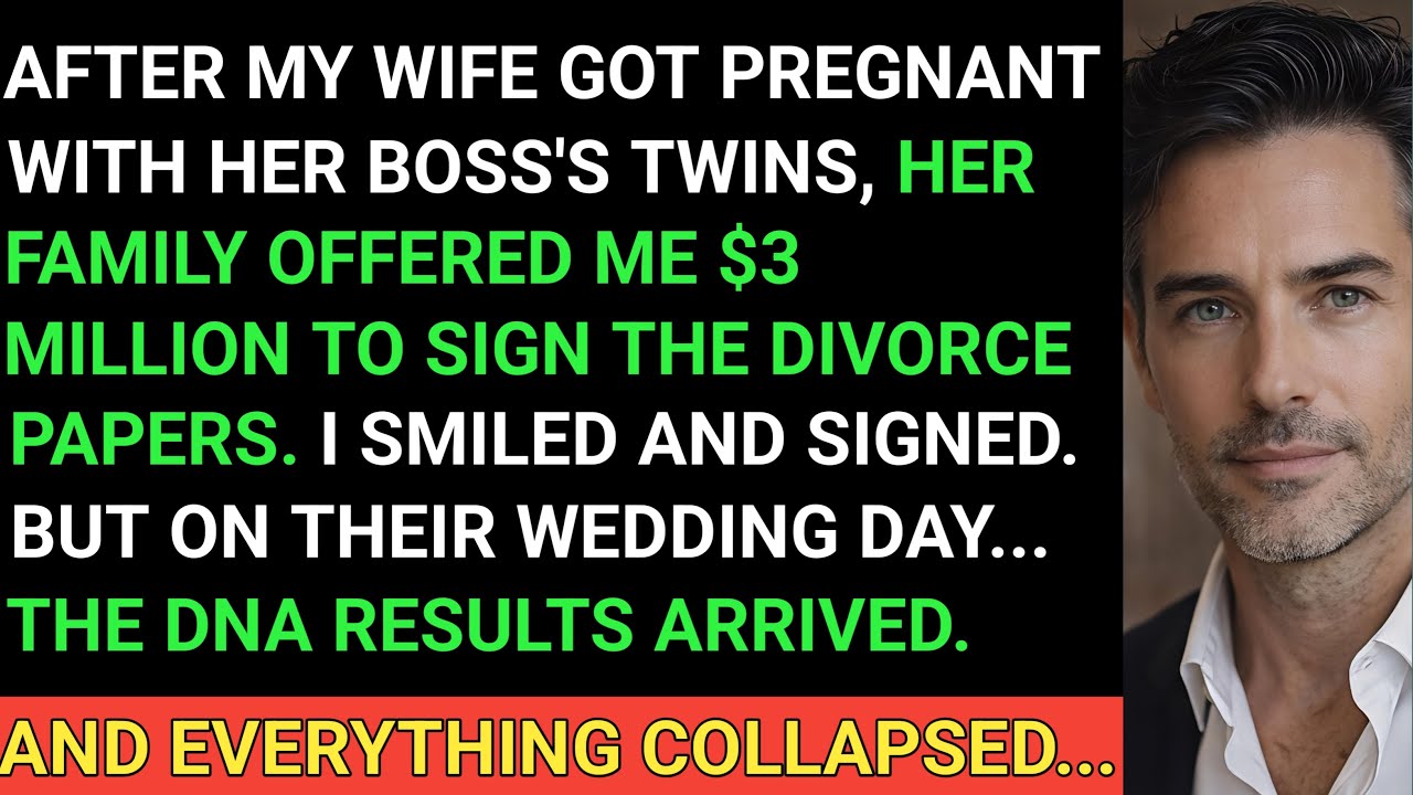My Husband Took My $3M Divorce Settlement During Our Wedding — Didn’t Know I Had the DNA Results