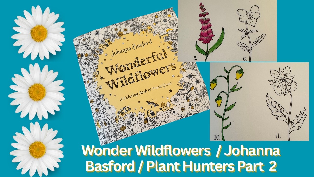 Johanna Basford / Wonderful Wildflowers / Plant Hunters / Part 2