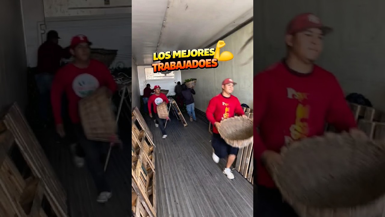 M&eacute;xico tienes LOS MEJORES trabajadores del mundo! #parati #shorts #campo #mexico