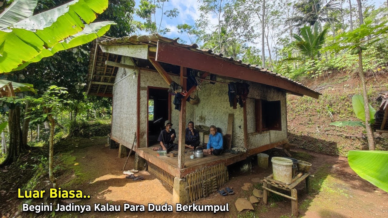 Luar Biasa.. Jumpa Para Duda Tangguh Tinggal di Tempat Terpencil di Kelilingi Hutan