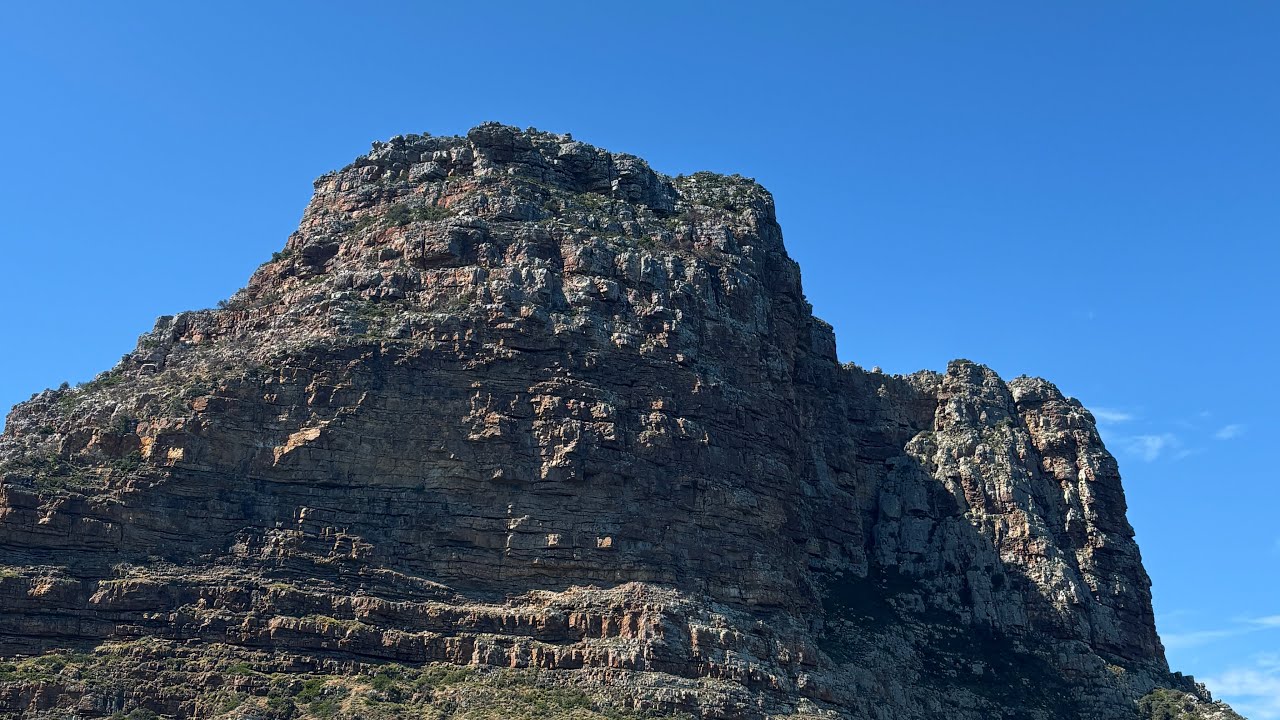 Hout Bay Adventure Vlog | Seal Island Experience 🦭🌊