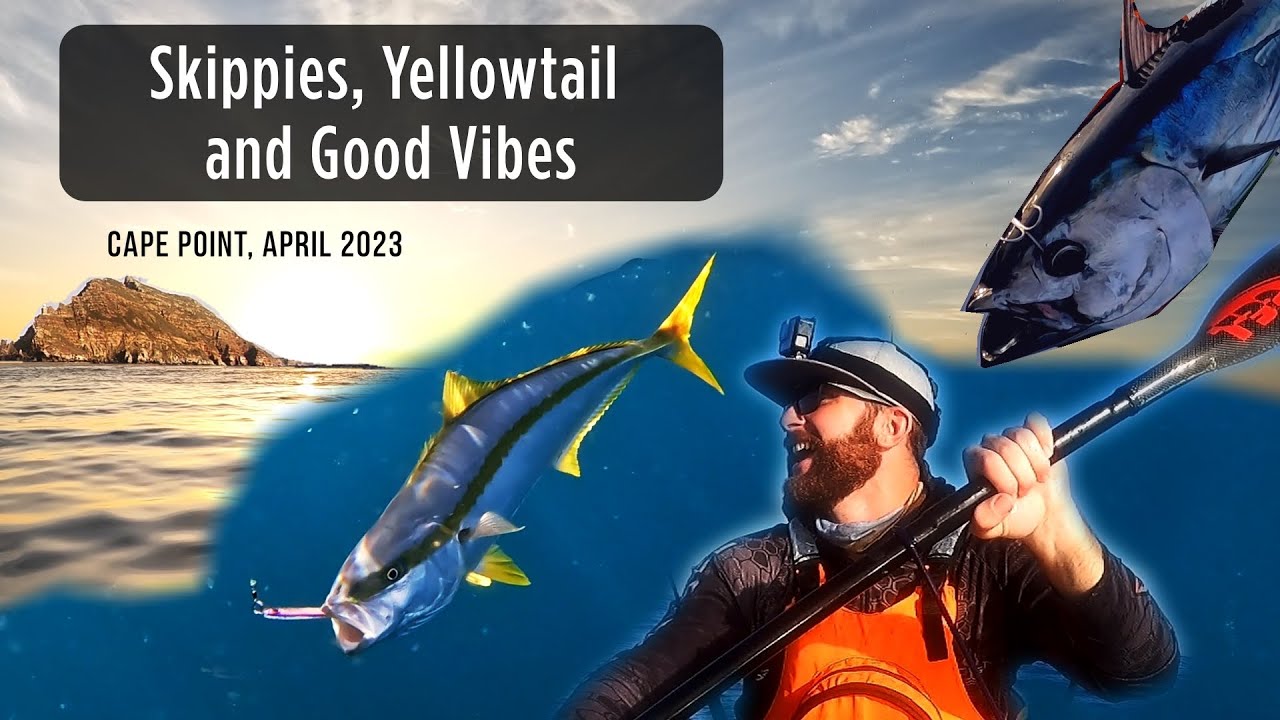 The tuna are close, the skippies are all over. Cape Point, April 2023