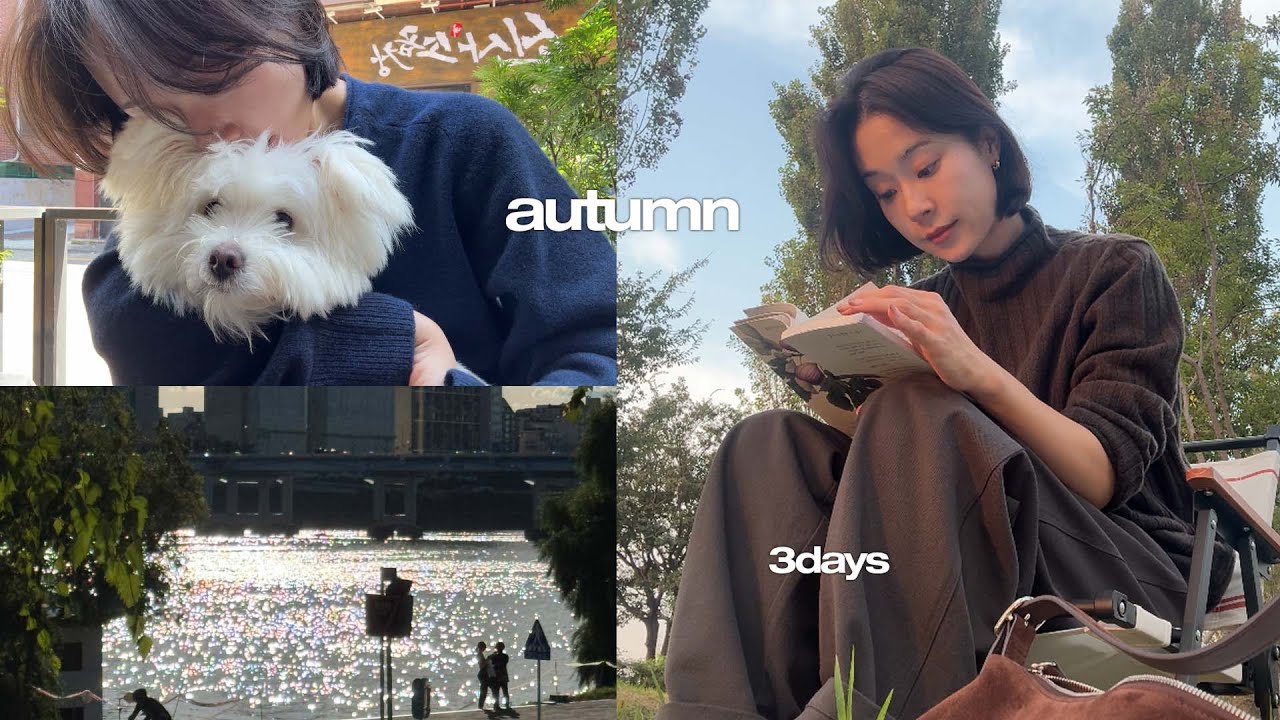 여더분 우리 누나 가을 타나봐요