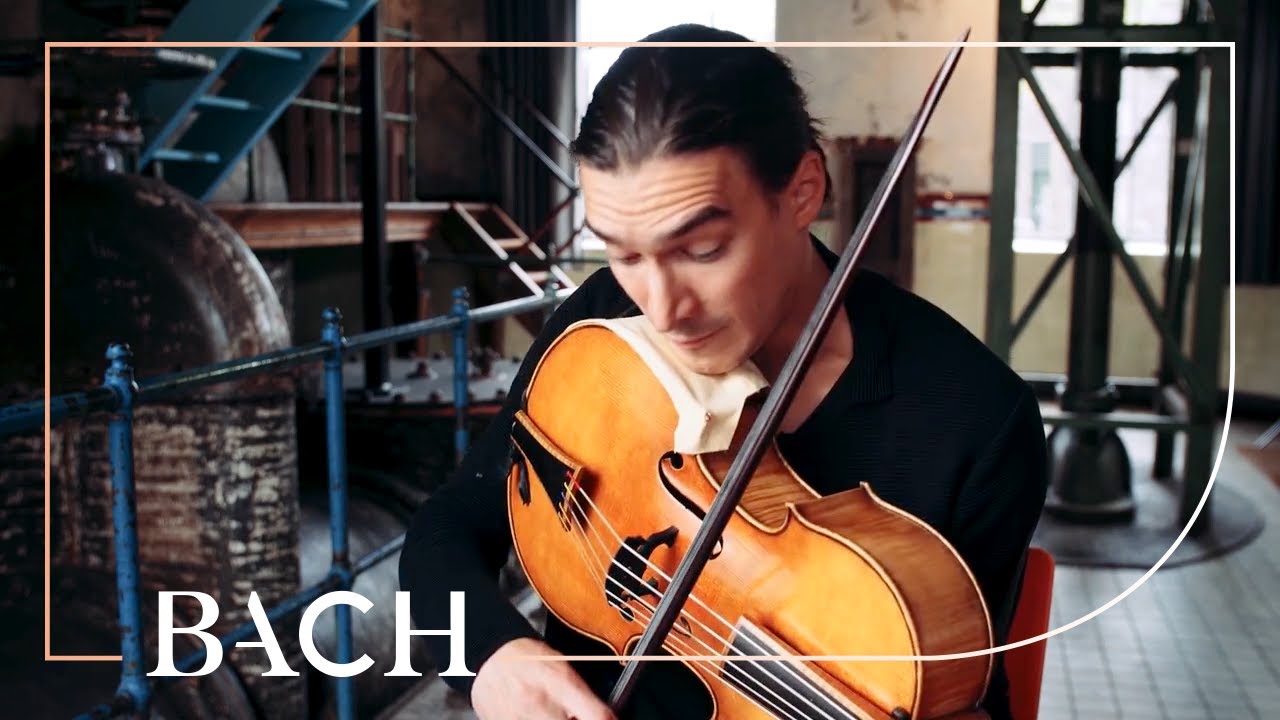 Malov on the violoncello da spalla BWV 1012 | Netherlands Bach Society