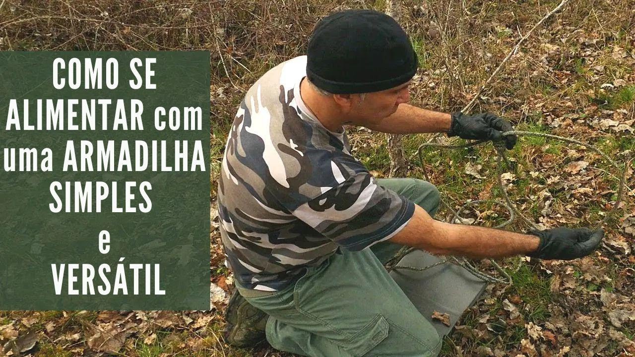 Táticas de ocultação: como despistar cachorros...