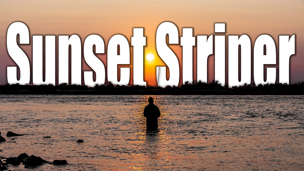 Sunset Stripers Fall Run with Fluke and Bluefish - Long Island Surf Fishing - Smooch and Release