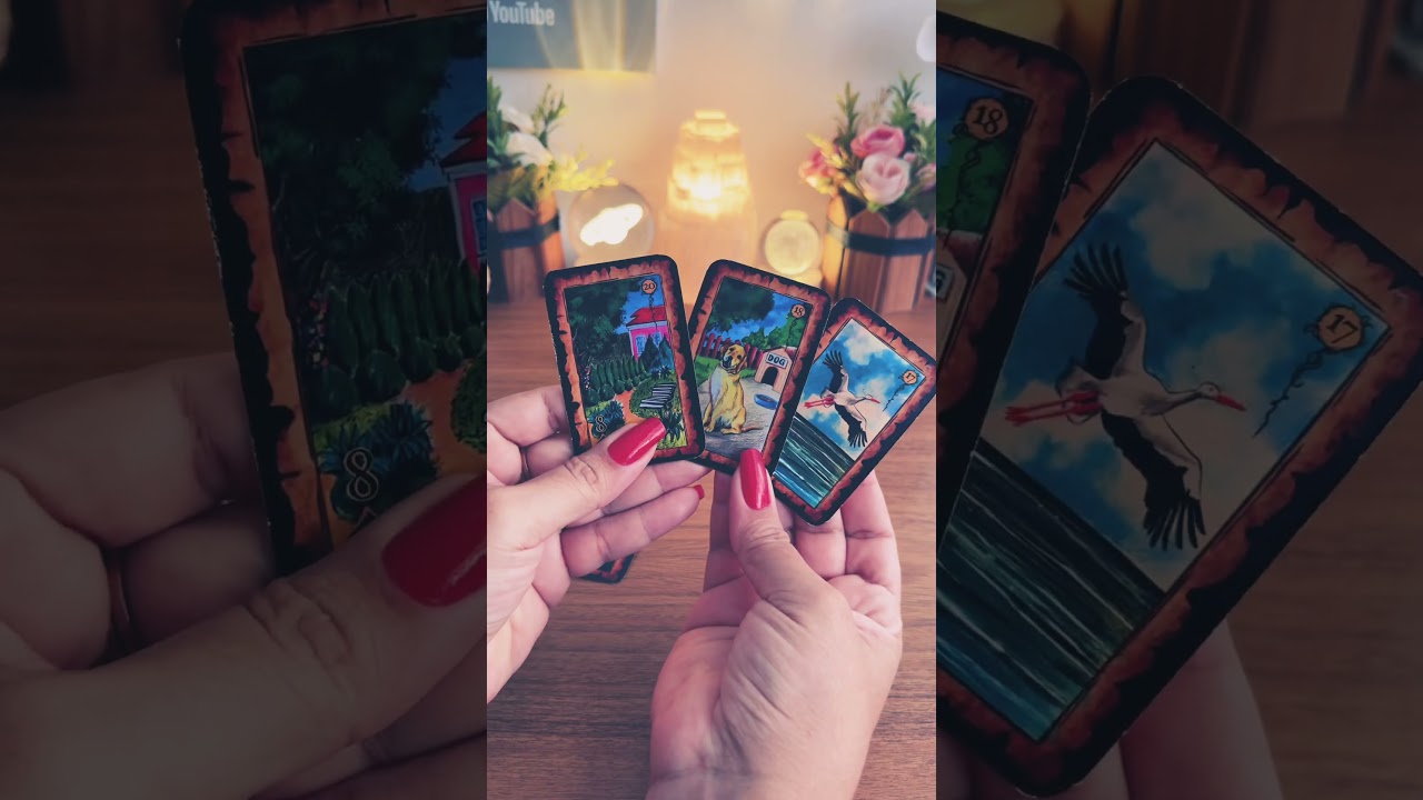 O que ELE(A) VIBRA em rela&ccedil;&atilde;o a VC? (HOJE)