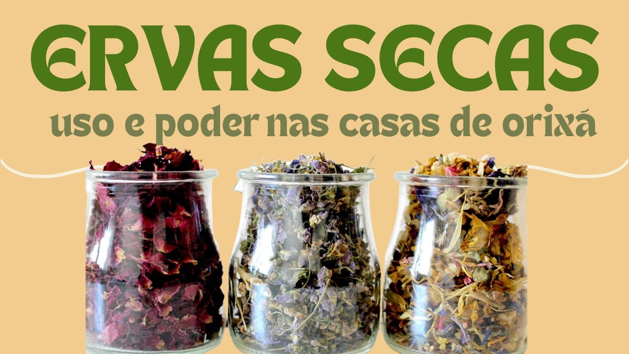 O PODER DAS ERVAS SECAS NA CASA DE ORIXÁ   @kitandadosorixas