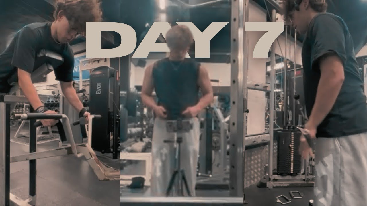 Day 7 - Back & Triceps 