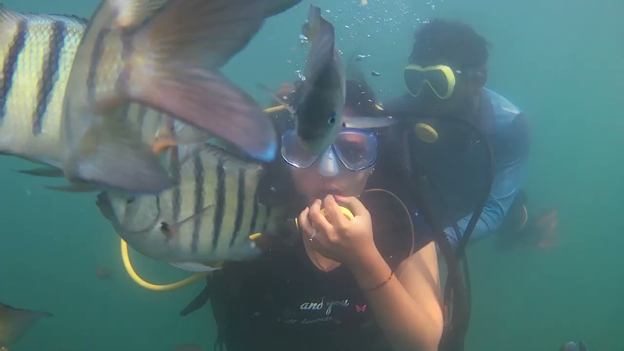 My First Scuba Diving Experience in Malvan 🤿 | Clear Water & Crazy Fun! 