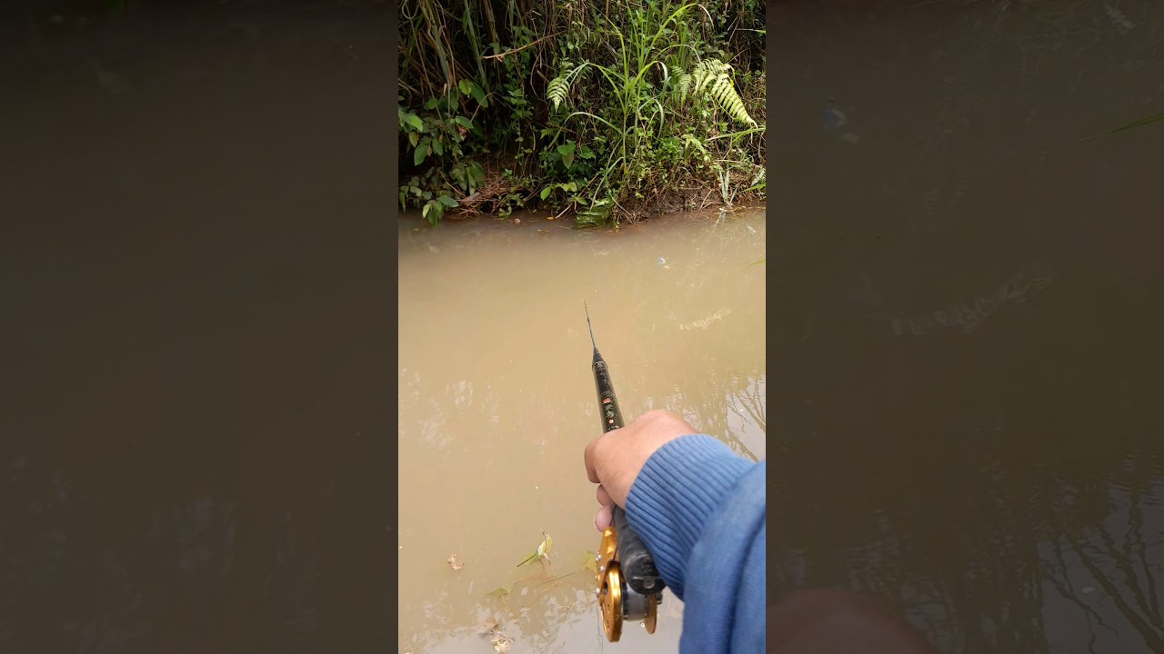 Mancing wader di spot kalen istimewa 