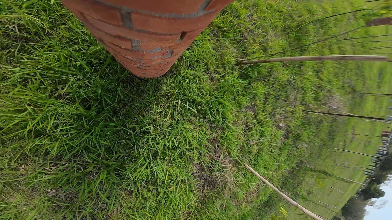 Drone FPV Cinelog20, 4S, o3 | Treino Freestyle #11 | @FlyBirdFilms