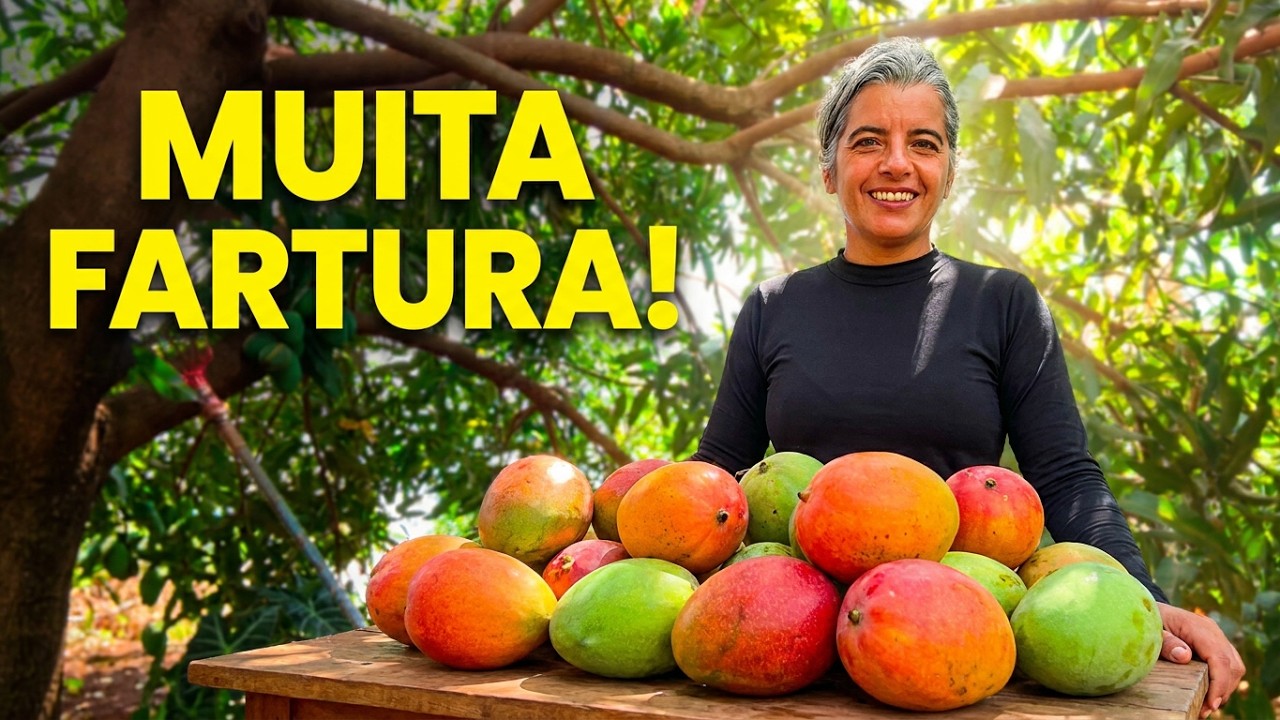 Mais um dia de trabalho e bençãos na chácara 🤠