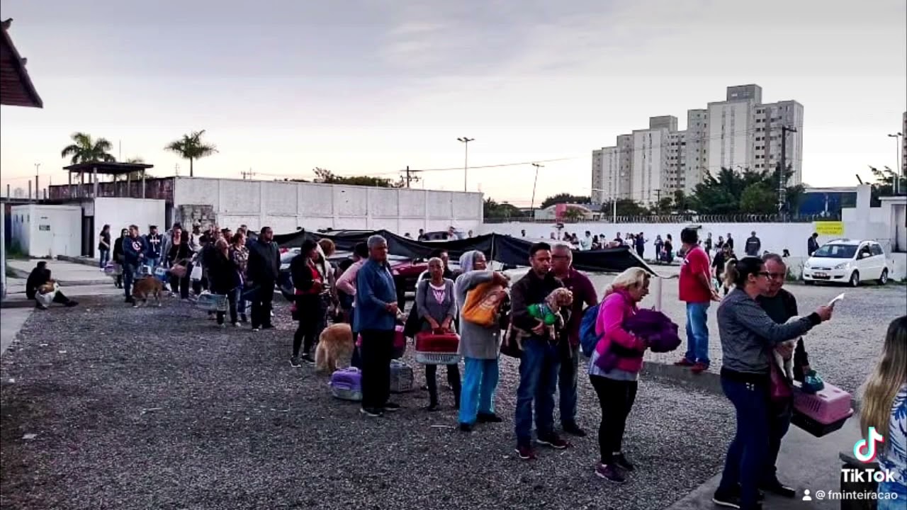 Hospital Veterinário Público da zona leste mudou formato de triagem.
