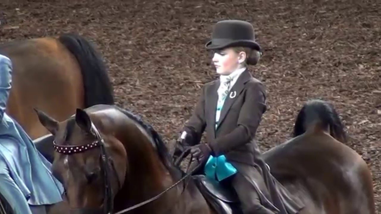 Kaitlyn Hummel & Twister, 2015 Morgan Grand National & World Championship Horse Show, Class-124